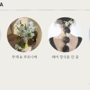 스튜디오시소