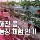김윤희농장 연합뉴스
