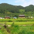 청풍한옥민박 이미지