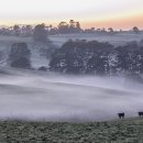 동이목장 이미지