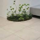 미지예피부과의원 이미지