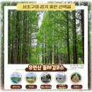 《수요산행》 11월27일 우면산 이미지