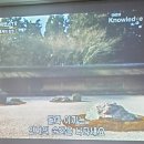 임천축산 이미지