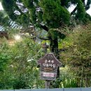 운조루 막둥이집 이미지