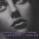 Morris Albert - Feelings (모리스알버트- 사랑의 감정) (가사해석) 이미지