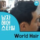 월드헤어센스