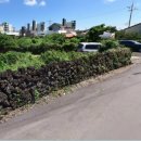 성산읍-2 이미지