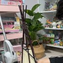 무럭무럭(주) 이미지