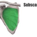 바름체 블랙 이미지