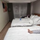 청초호베스트호텔 이미지