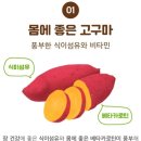 하얀강아지&고양이 | 조이펫(Joypet) 강아지&amp;고양이 간식 추천, 리얼 순 고구마 슬림 스틱형(feat.급여후기)