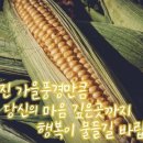 11월9일 고발뉴스 이미지