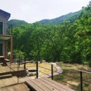 우금자락 이미지