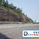 금창로 19 네이버블로그
