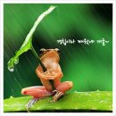 기지손세차 이미지