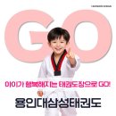 용인대삼성태권도장 네이버블로그