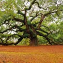 도솔내과의원 이미지