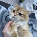 베리굿동물병원 이미지