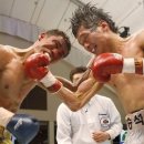 수원동양복싱 이미지