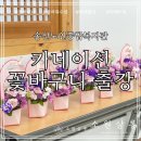 송산 노인 종합복지관 | 원예치유 직무소진 예방교육 근로자 소진방지 프로그램 송산노인종합복지관 사회적관계형성 플라워수업출강