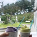던킨도넛츠강릉