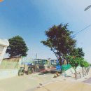 전주동북초등학교 이미지