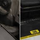 정선모터스 이미지