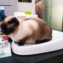 지중해동물병원 이미지