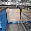 수원용인행정사사무소 이미지