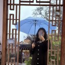 자양1동주민센터 자치회관 3층 테라스 카페 | 경주 황리단길 애견동반 맛집 료미