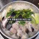 명품쉐프독도복국1987 | 부여복어요리 맛집 명품쉐프독도복국1987