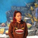 태수아쿠아 네이버블로그