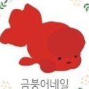 금붕어네일 이미지