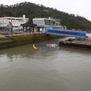 도초 고란리 매향비 이미지