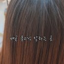 헤어은헤윰 네이버블로그
