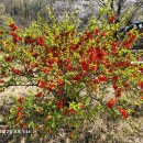 함안(순천) 이미지