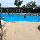 성찬농원 | 고삼은 내신이 끝나면 어떻게 지낼까?