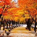 오현로20길 이미지