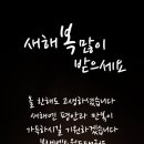 블랙벨트태권도 이미지