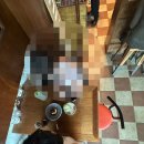 한강초교 | 용산 감성카페 피롤츠 커피하우스 후기 | 커피, 디저트 추천