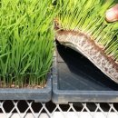 상주시 조합공동사업법인 이미지