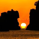 거제활어 이미지