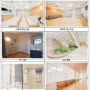 서울시설공단(서울추모공원) 티스토리