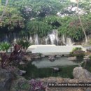 호텔알로하 이미지