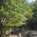 묵계알프스산장 앞 | 전북 완주 동상계곡 알프스산장 후기｜물놀이부터 평상까지 여름 피서 제대로 즐기고 왔어요!