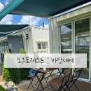 도그포레스트