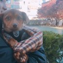 율전동물병원 이미지