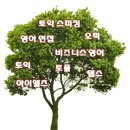 나무영어스피킹
