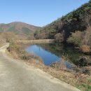 남사1리 이미지