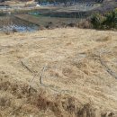 김정태 농장 이미지